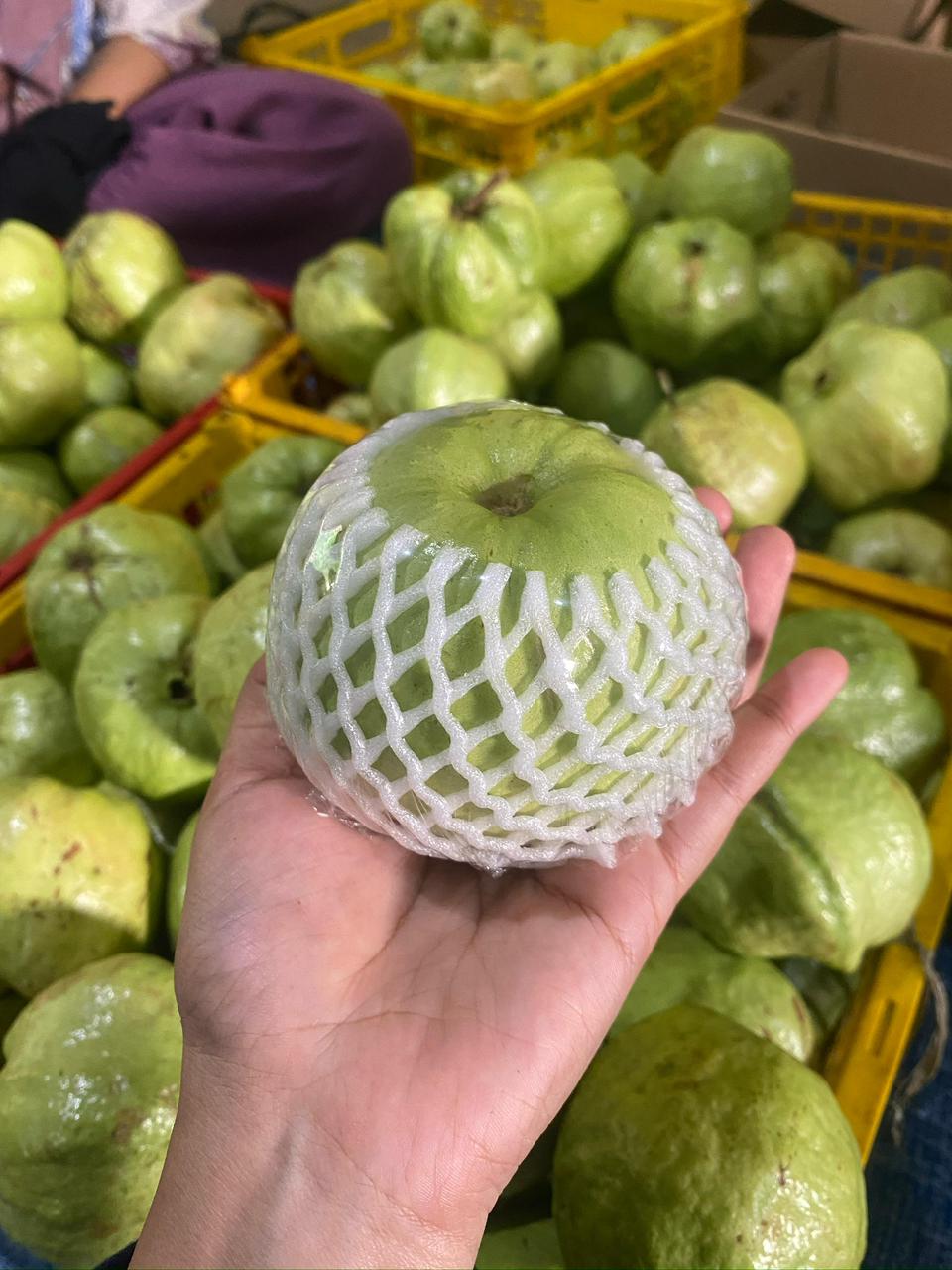 Thai Guava